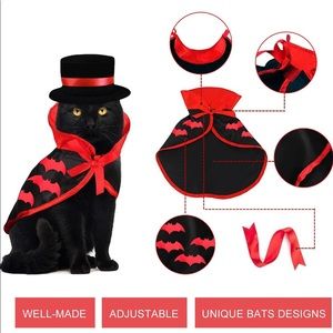❗️SALES❗️Brand New Halloween Cat Costume 🎃👻🐈‍⬛